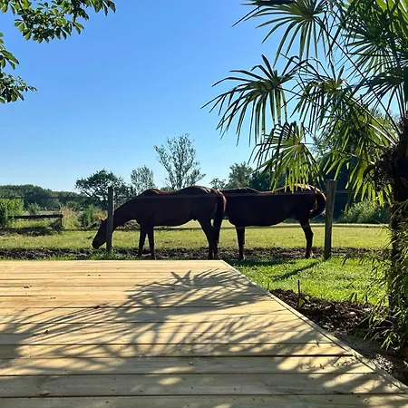 Les Milleres - Le Duplex Cosy Дом отдыха