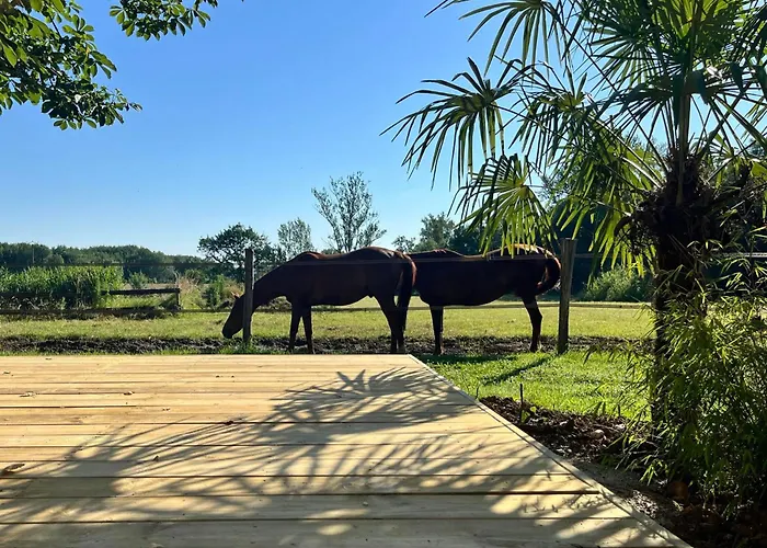 Les Millères - Le Duplex Cosy Hébergement de vacances